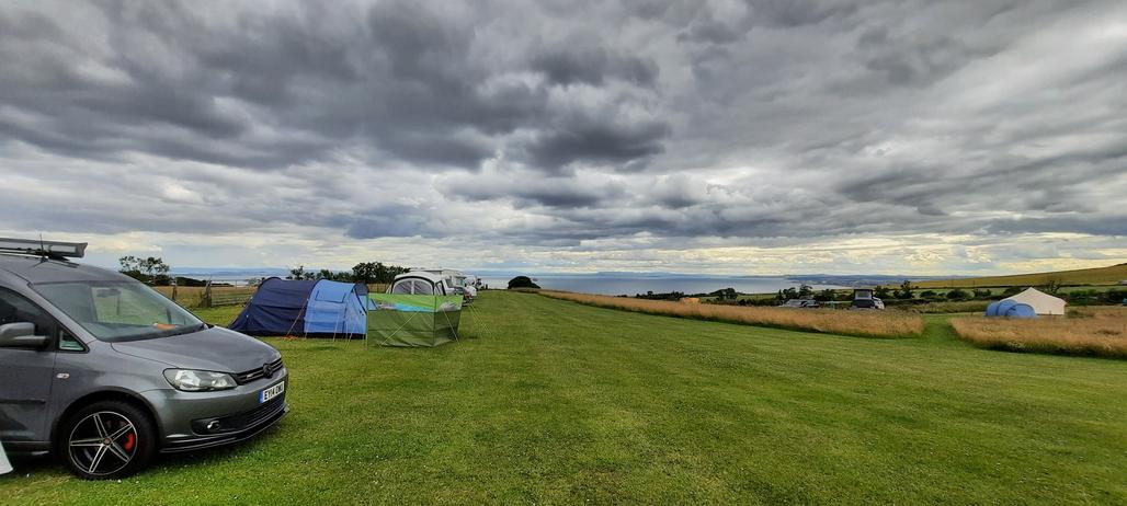 General view south over site